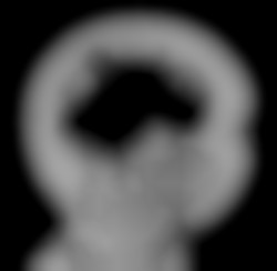 Member Image