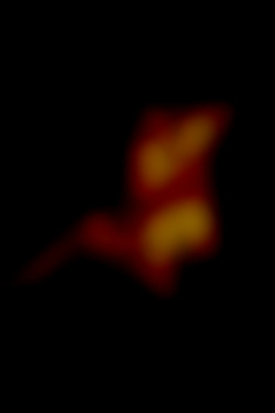 Member Image