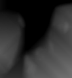 Member Image