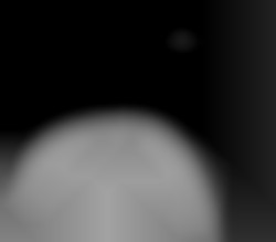 Member Image