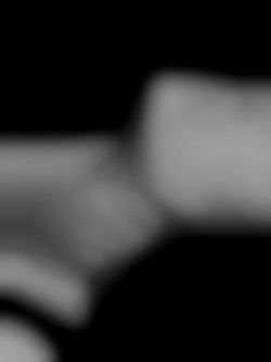 Member Image