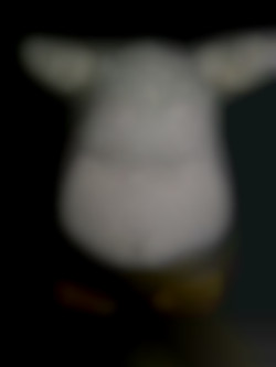 Member Image