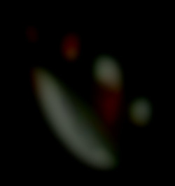 Member Image