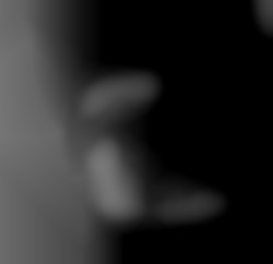 Member Image