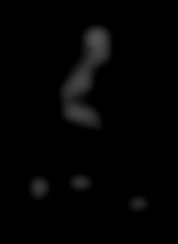 Member Image