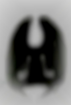Member Image