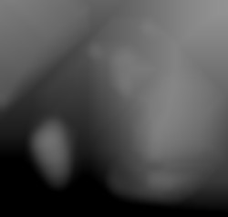 Member Image
