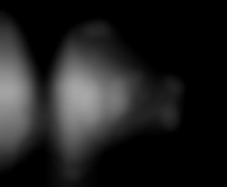 Member Image