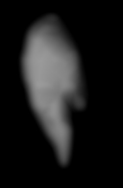 Member Image