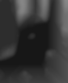 Member Image
