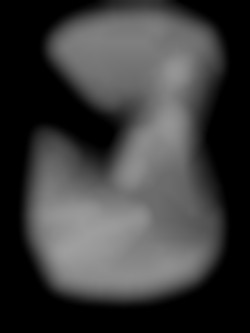 Member Image