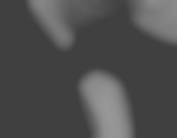Member Image