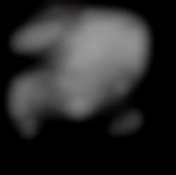 Member Image