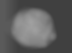 Member Image