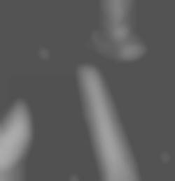Member Image