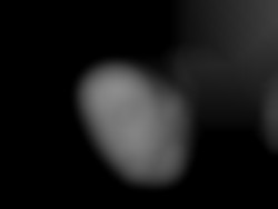 Member Image