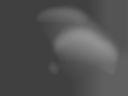 Member Image