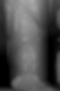 Member Image
