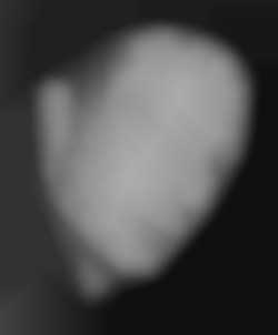 Member Image