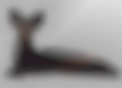 Member Image