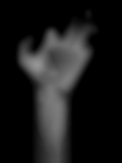 Member Image