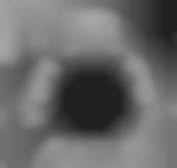 Member Image
