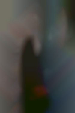 Member Image