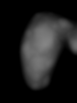 Member Image
