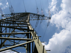 Member Image