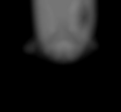 Member Image