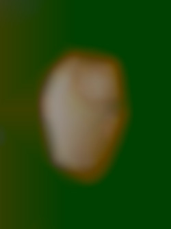 Member Image