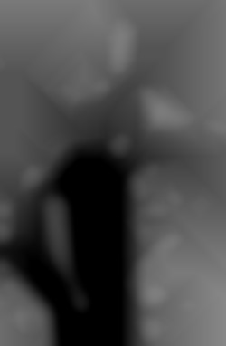 Member Image