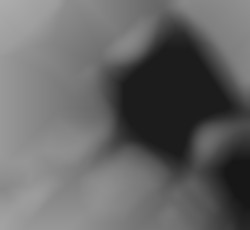 Member Image