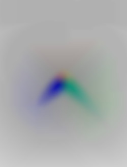Member Image