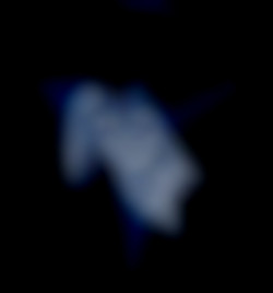 Member Image