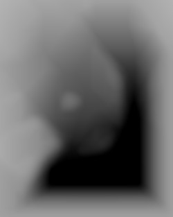 Member Image