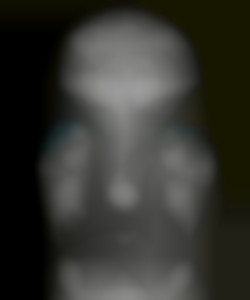 Member Image