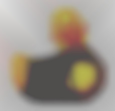 Member Image
