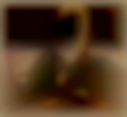 Member Image