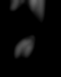 Member Image