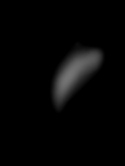 Member Image