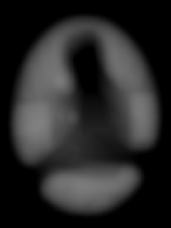 Member Image