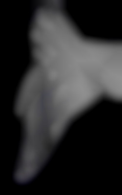 Member Image