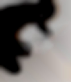 Member Image