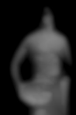 Member Image