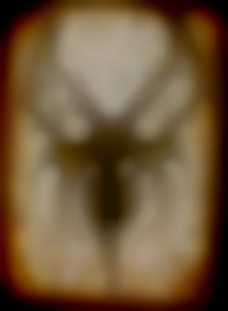 Member Image