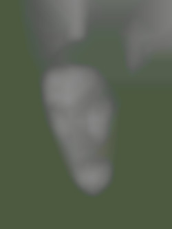 Member Image