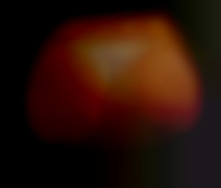 Member Image