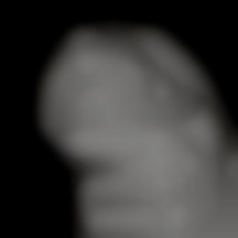 Member Image