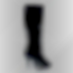 Member Image